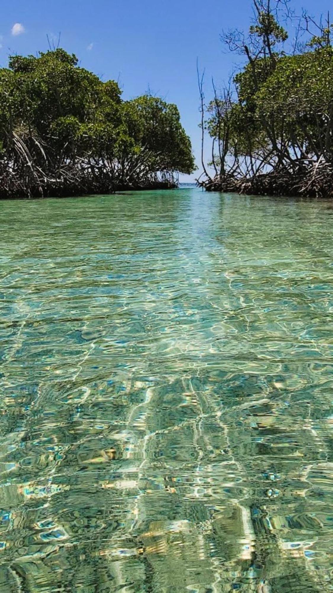 La Jamaca - Island Vibe Hotel La Parguera Εξωτερικό φωτογραφία